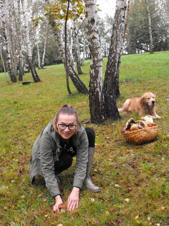 Agroturystyka Zacisze Czarna Owca Brzezanka Екстериор снимка